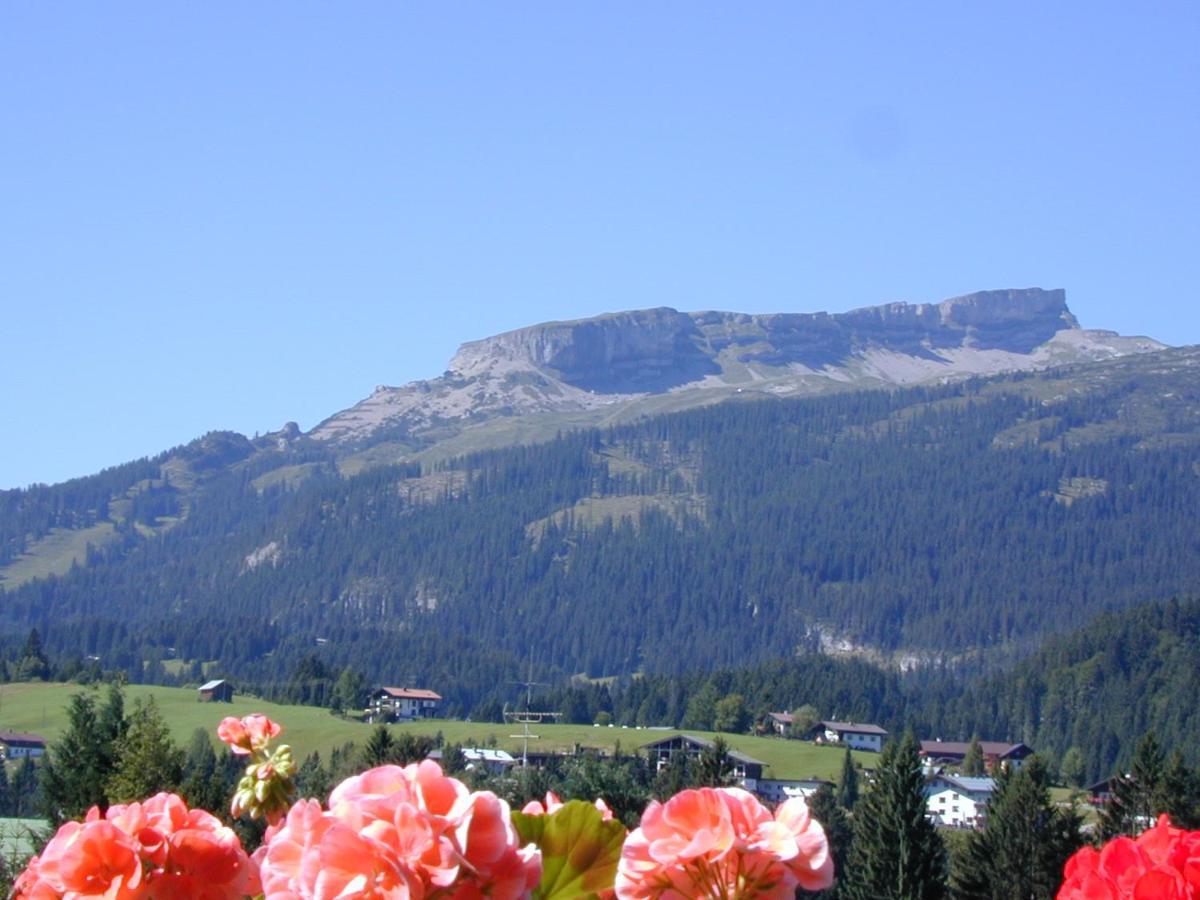 Appartement Gaestehaus Etschmann *